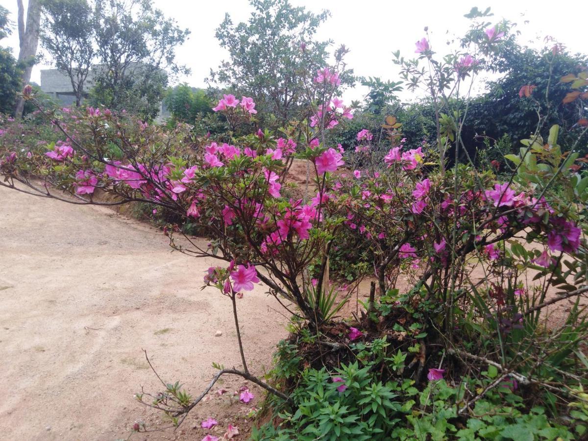 Forest Cyniciam Homestay โอฮิยา ภายนอก รูปภาพ