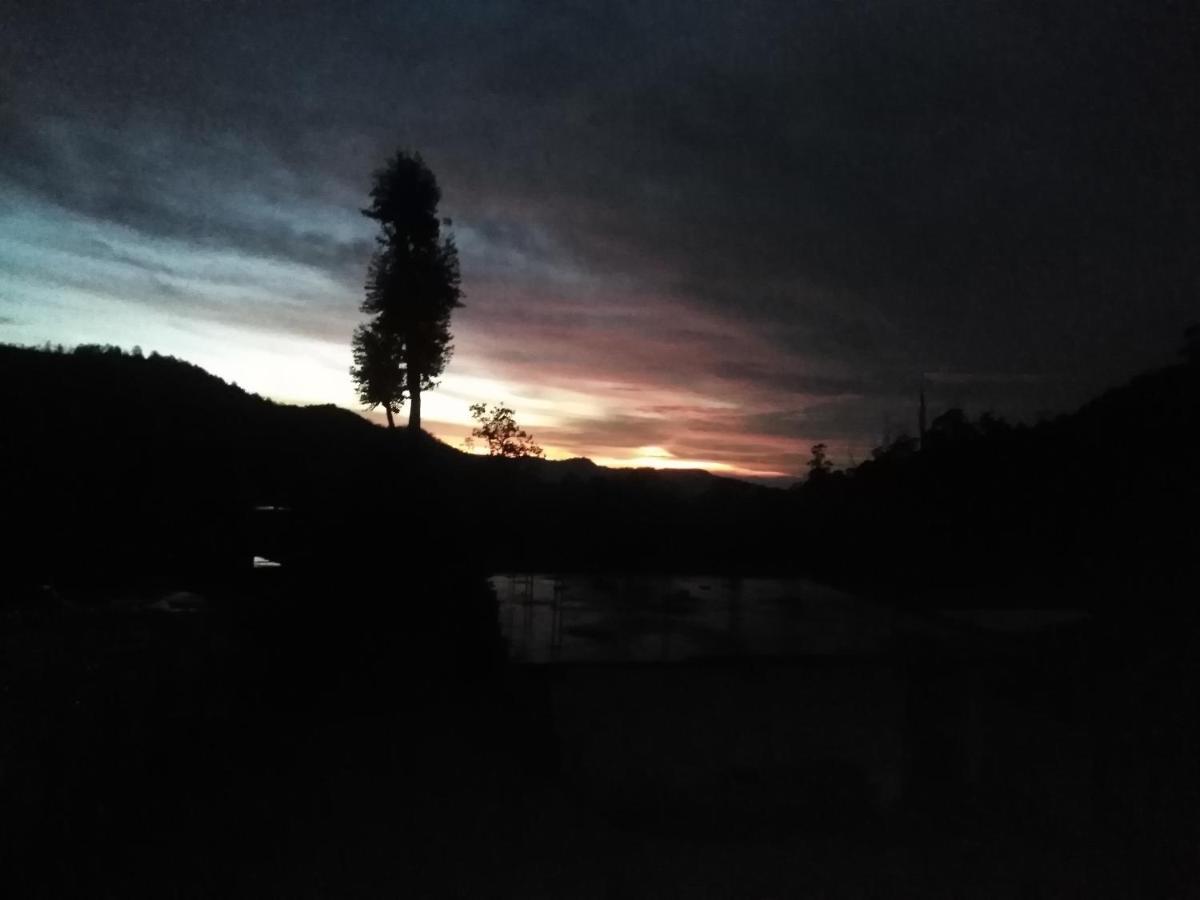 Forest Cyniciam Homestay โอฮิยา ภายนอก รูปภาพ