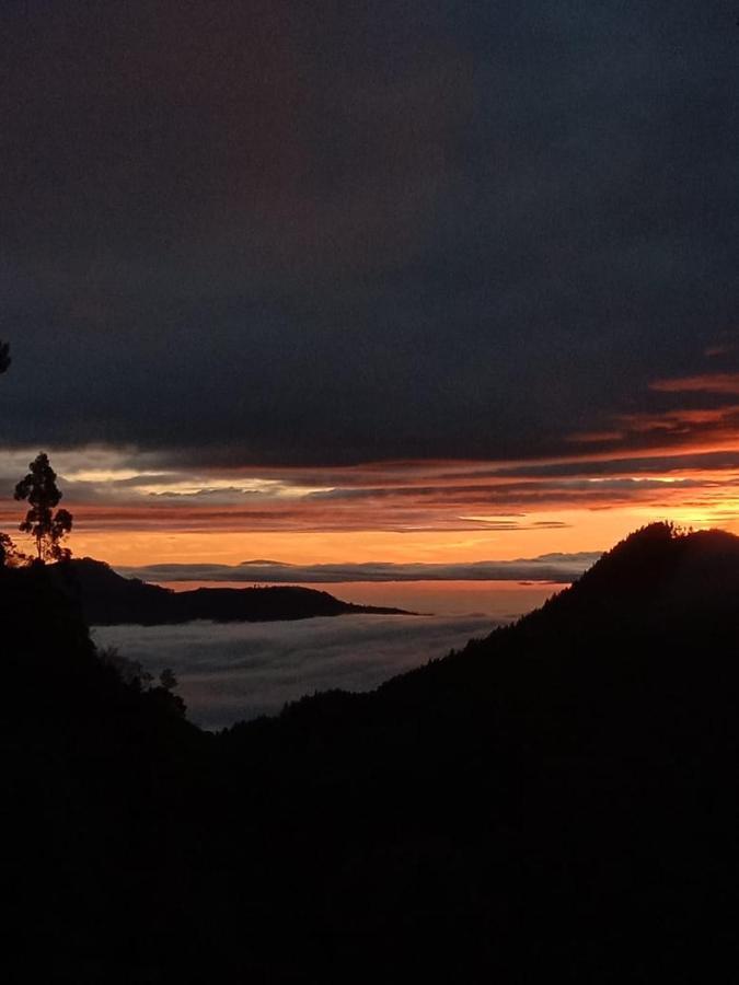 Forest Cyniciam Homestay โอฮิยา ภายนอก รูปภาพ