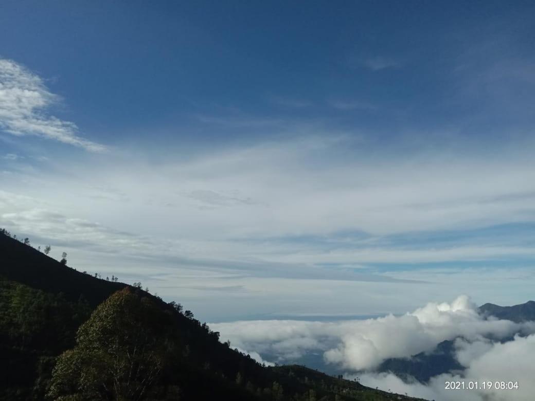 Forest Cyniciam Homestay โอฮิยา ภายนอก รูปภาพ