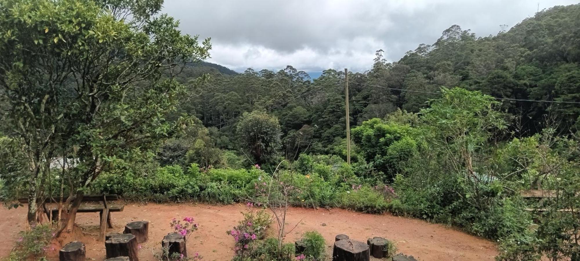 Forest Cyniciam Homestay โอฮิยา ห้อง รูปภาพ