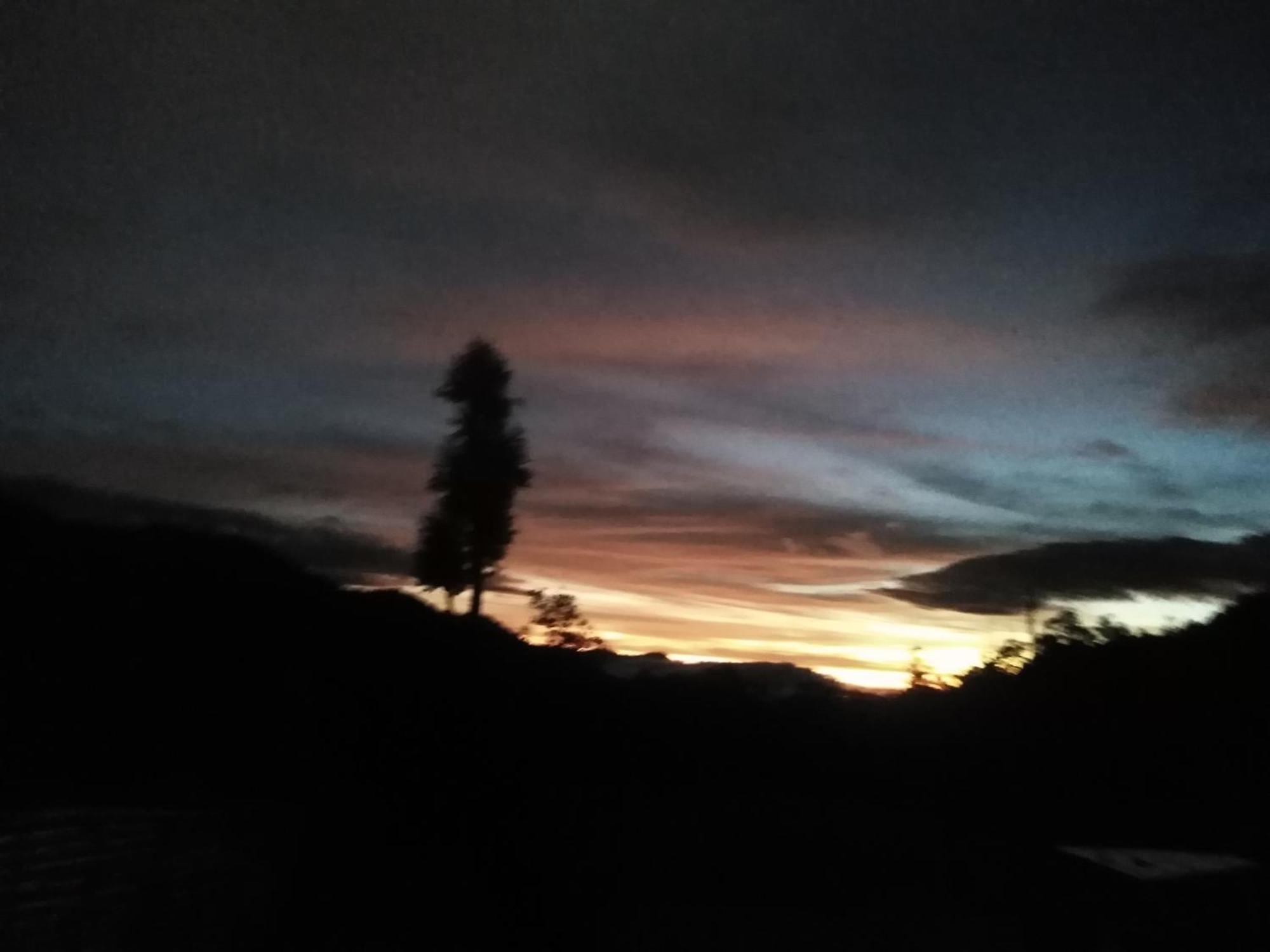 Forest Cyniciam Homestay โอฮิยา ห้อง รูปภาพ