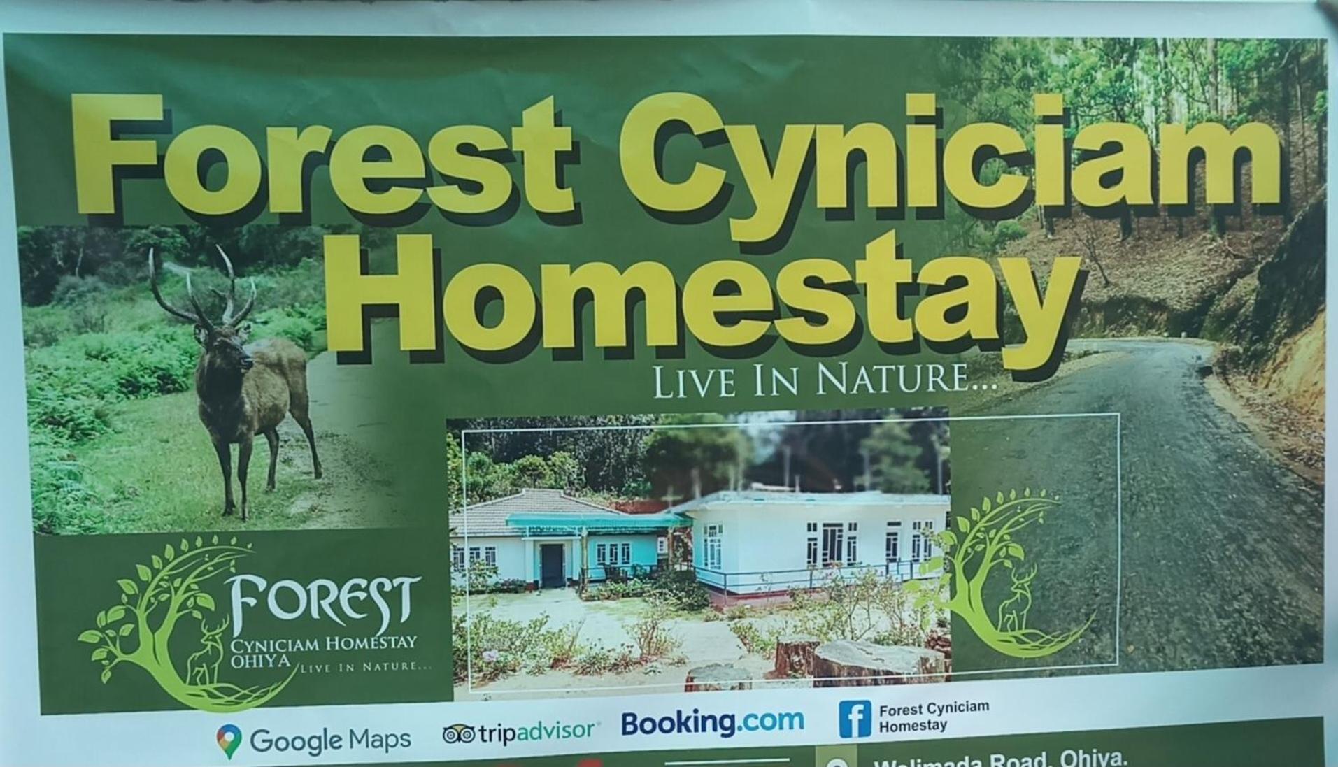 Forest Cyniciam Homestay โอฮิยา ภายนอก รูปภาพ