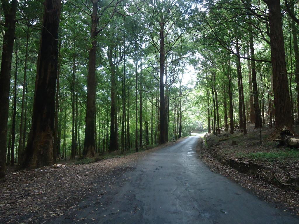 Forest Cyniciam Homestay โอฮิยา ภายนอก รูปภาพ