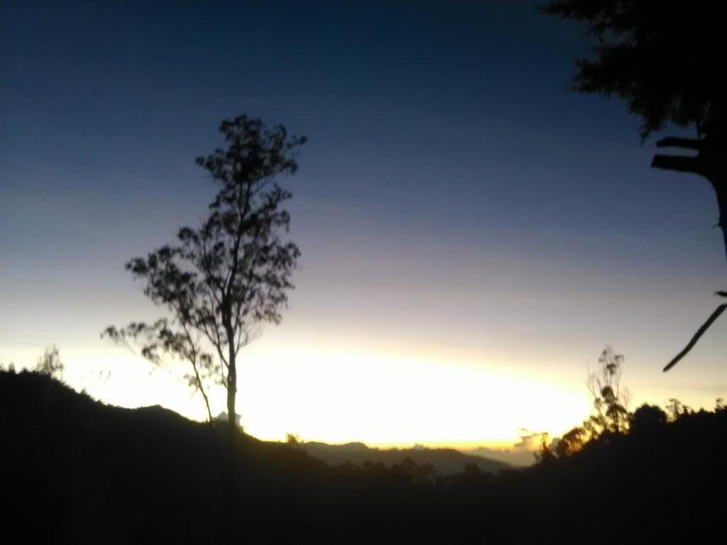 Forest Cyniciam Homestay โอฮิยา ภายนอก รูปภาพ