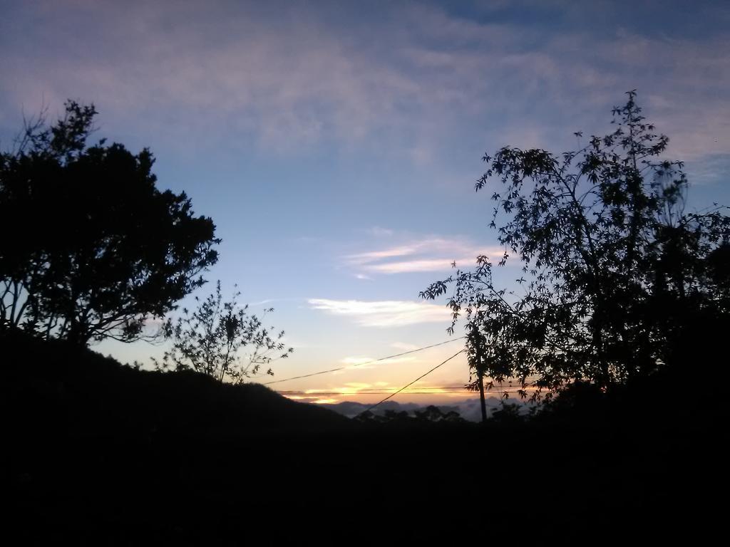 Forest Cyniciam Homestay โอฮิยา ภายนอก รูปภาพ