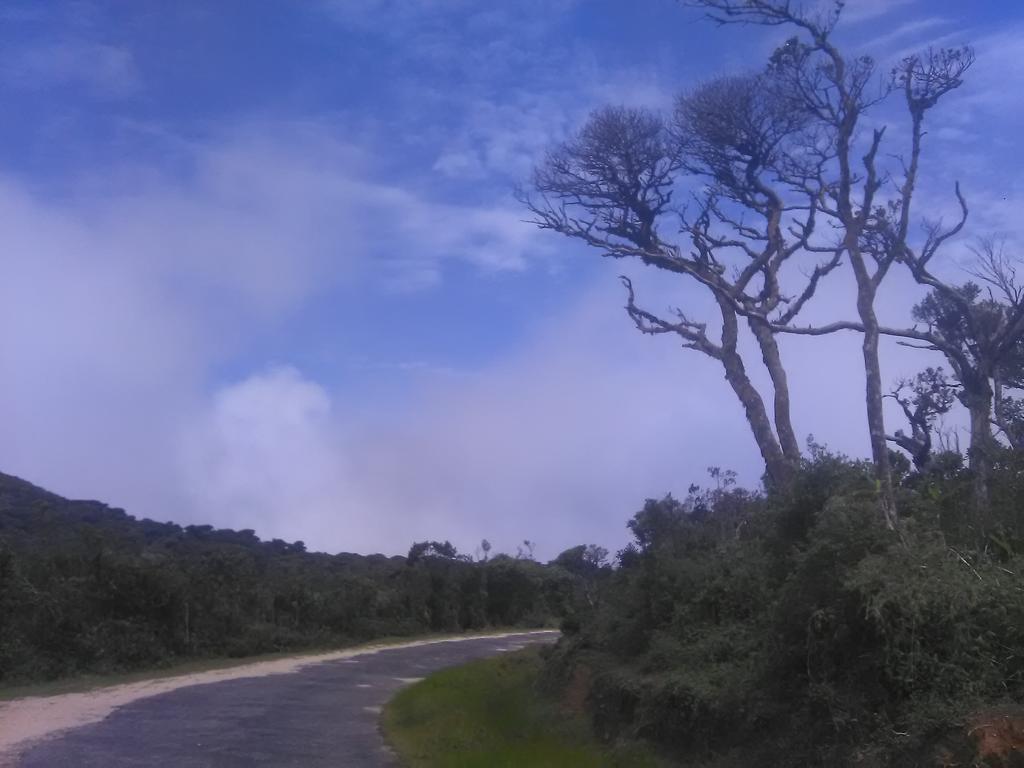Forest Cyniciam Homestay โอฮิยา ภายนอก รูปภาพ