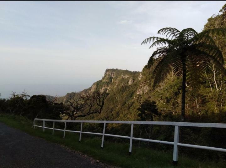 Forest Cyniciam Homestay โอฮิยา ภายนอก รูปภาพ