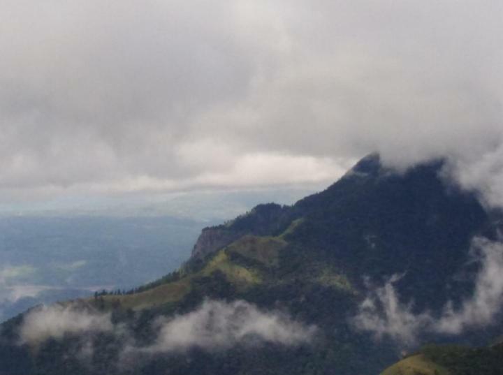 Forest Cyniciam Homestay โอฮิยา ภายนอก รูปภาพ