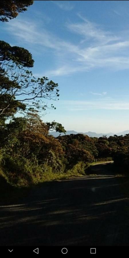 Forest Cyniciam Homestay โอฮิยา ภายนอก รูปภาพ