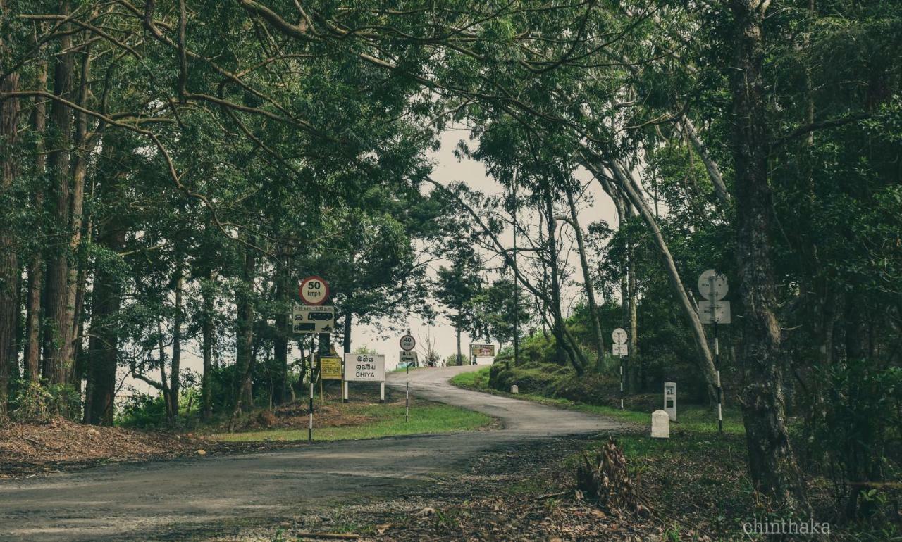 Forest Cyniciam Homestay โอฮิยา ภายนอก รูปภาพ