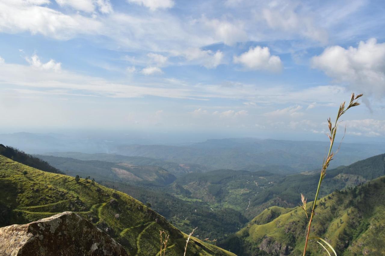Forest Cyniciam Homestay โอฮิยา ภายนอก รูปภาพ